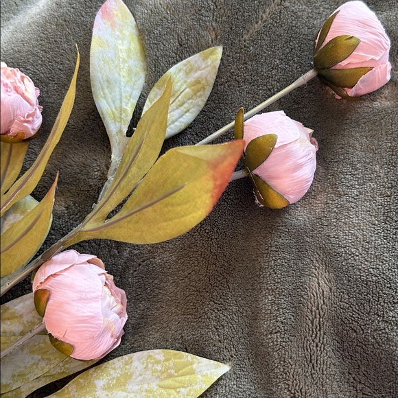 Set of 8 Michael’s by Ashland Tan Peony Stems - Picture 4 of 4